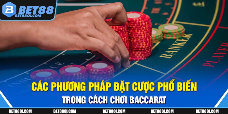 Các phương pháp đặt cược phổ biến trong cách chơi Baccarat